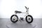 Ruff Cycles Lil'buddy