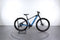 Mondraker Prime 29