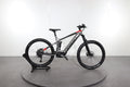 Trek Powerfly 5 #1 global