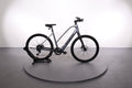 Trek Dual Sport+ 2