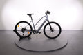 Trek Dual Sport+ 2